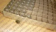 РН-12-50 лампа накаливания 2Ф-Ш20-1 РН-12-50 лампа накаливания 2Ф-Ш20-1