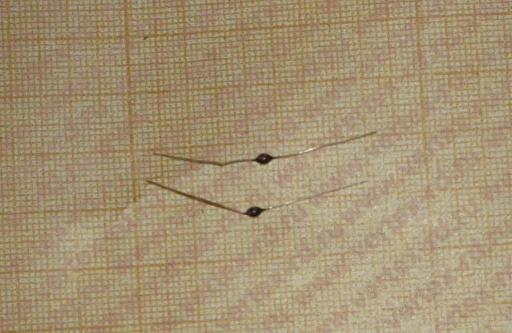 КД103Б Диод | Цена, купить, описание, характеристики, справочник ...